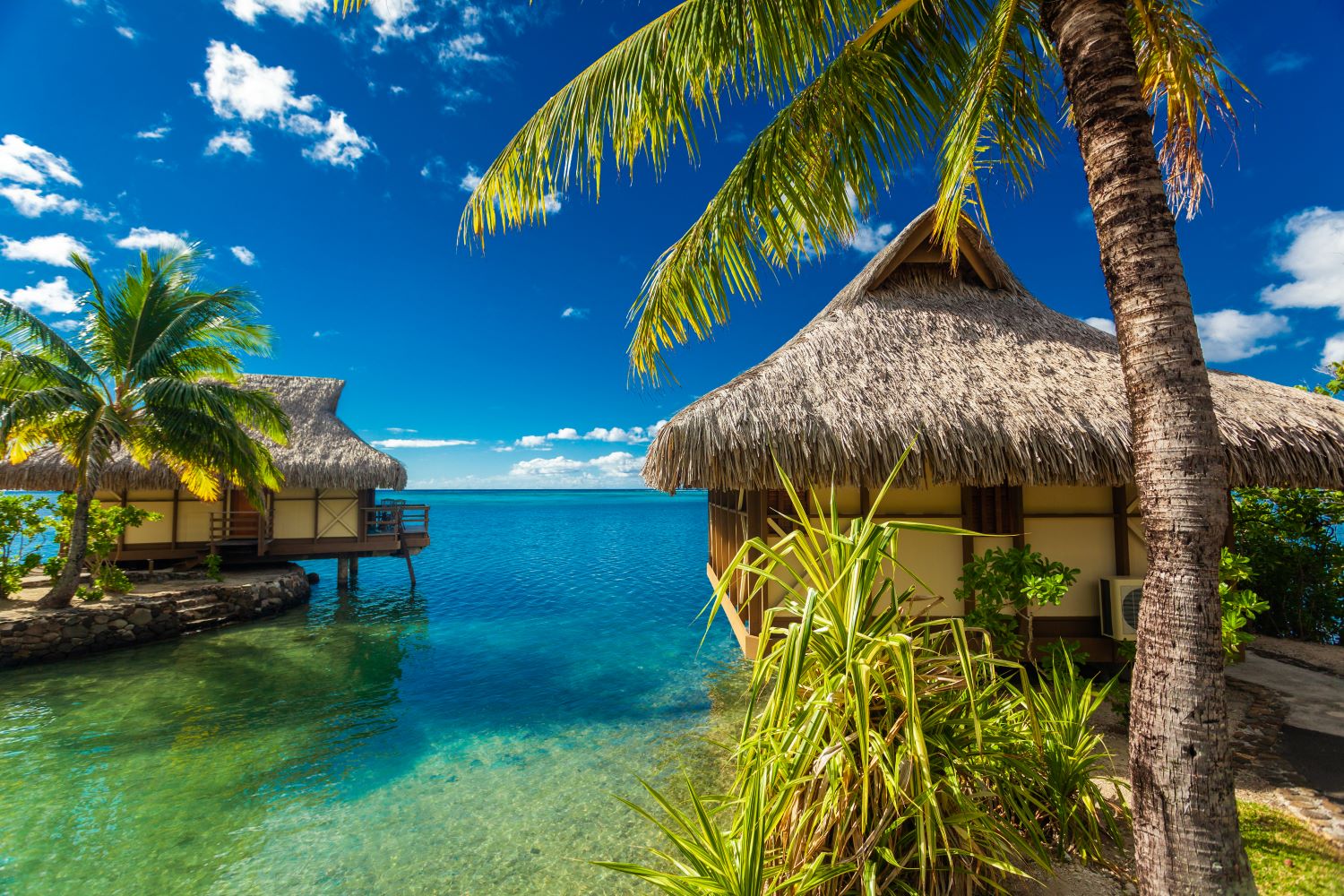 Luxury Resorts